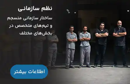 نظم-سازمانی